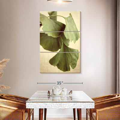 Couleur Harnek Ginkgo