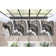 Clomer Abstract Grey Area Rug