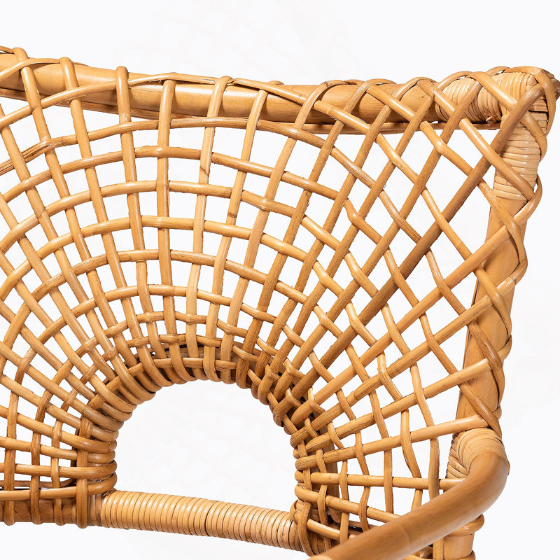 Chaise avec accoudoirs Callistus