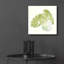 «Plant Big Leaf IV» par Chris Paschke-581337143