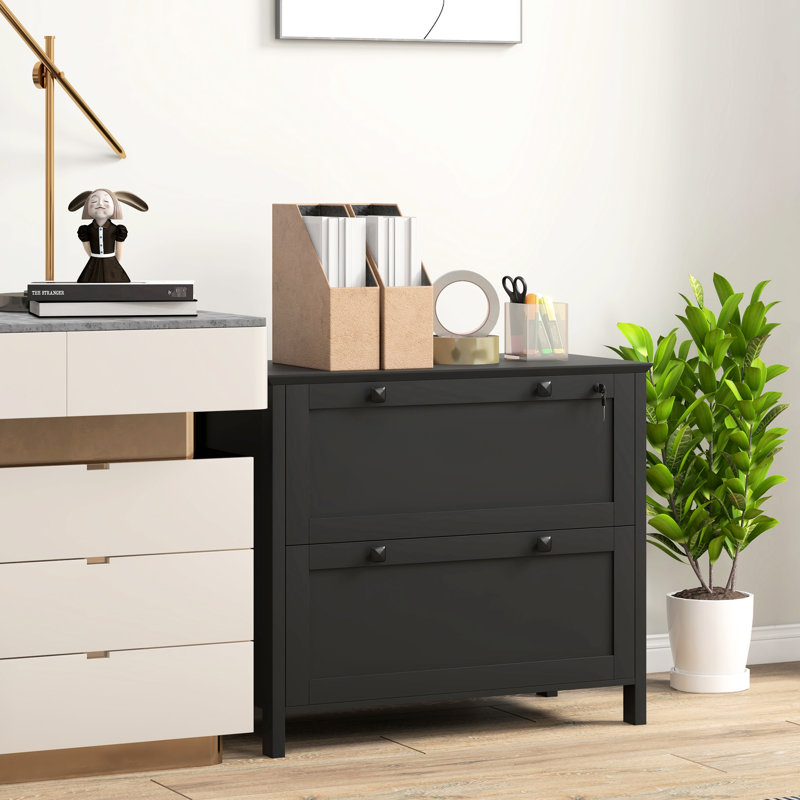 Classeur noir avec 2 tiroirs et serrure. Organisez efficacement votre bureau personnel. Convient aux formats lettre, A4 et légal. Élégant et pratique. - Panneau de particules revêtu. Capacité de l 31,1 po x l 15,7 po x H 28,3 po. Capacité de 132 lb.