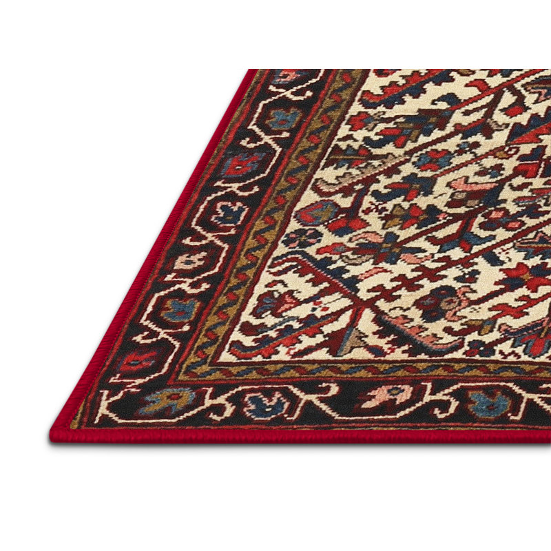 Oriental Indoor Rug, Rectangle 5' x 7'