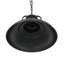 Annlynn 1 - Light Black Pendant
