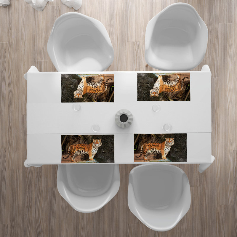 Récapitulatif tiger 18,5 po
