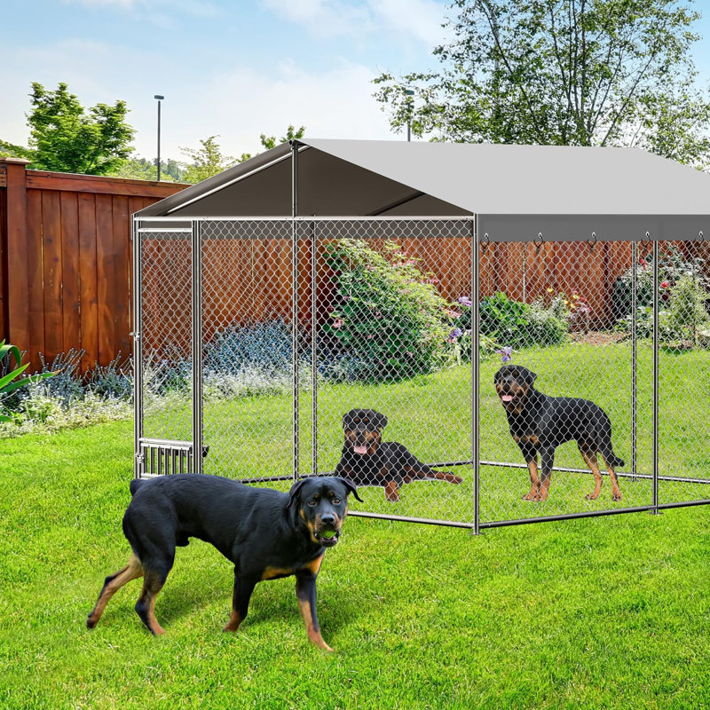 Niche pour chien d'extérieur avec auvent imperméable