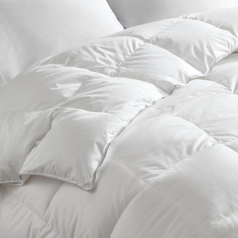 Édredon en duvet d'oie blanche 100% coton, Édredon double / grand