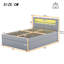 Dazha Upholstered Ottoman Storage Bed-688678290
