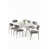 White Marble/Chrome selected
