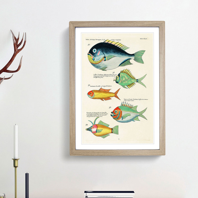 East Indies Fish Illustrations XIX by Louis Renard - Picture Frame Graphic Art Print, Oak Framed, 65cm H x 48cm W x 2cm D