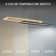 Double Entendre LED Linear Pendant
