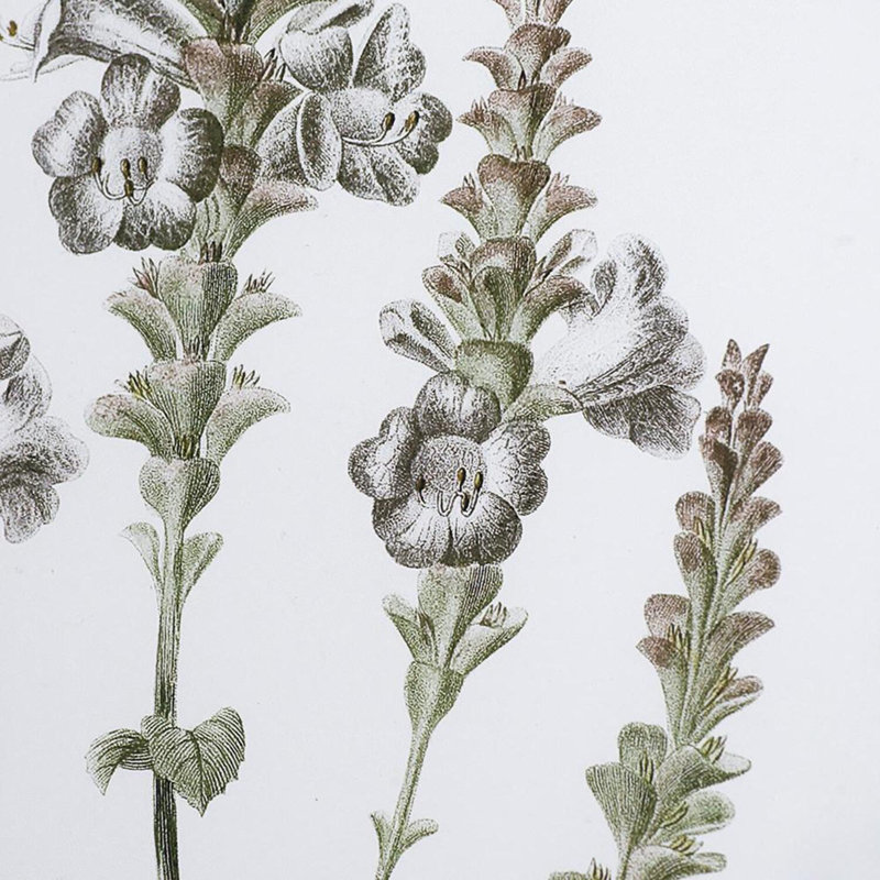 Botanical - Picture Frame Print Set