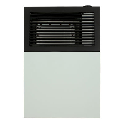 Ashley Direct Vent Propane Wall Heater 8,000 Btu