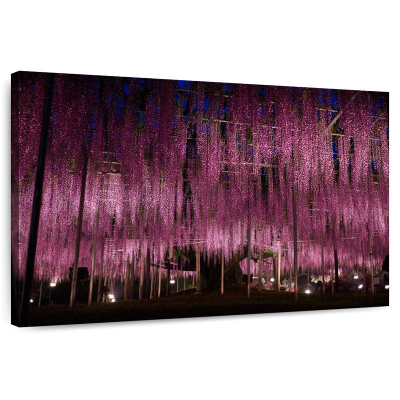 Jardin Harnek Wisteria, H 8 po x l 12 po