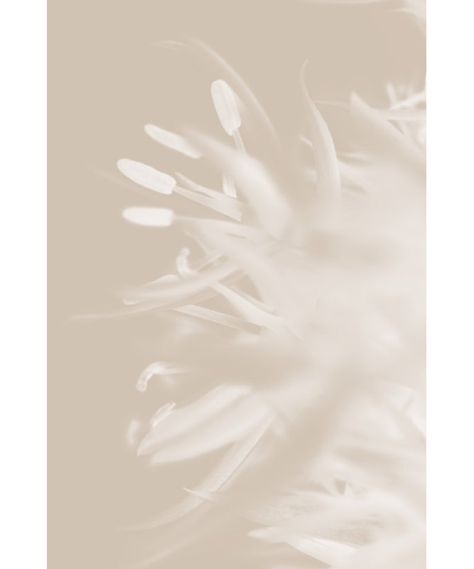 1 Piece Wrapped Canvas Wall Art, 50.8cm H x 76.2cm W