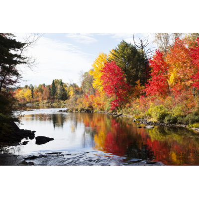 Autumn In Ontario - Wrapped Canvas Print