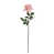 Rose est en rupture de stock