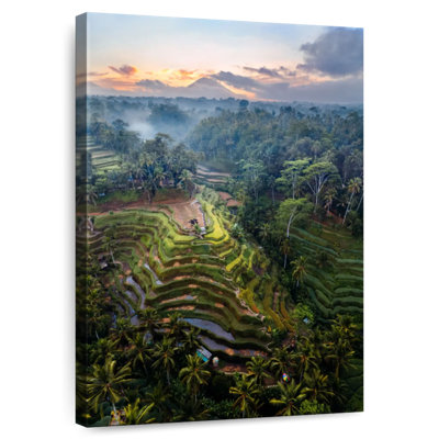 Gillard Rice Terraces Of Bali I