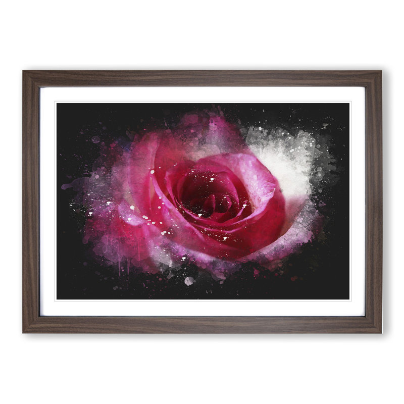 Pink Rose Flower Vol.7 - Picture Frame Graphic Art, 27cm H x 36cm W x 2cm D, Walnut Framed