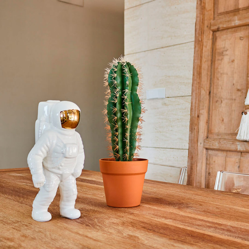 64 cm H Faux Cactus Plant in Plastic Pot