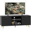 Alicemarie TV Stand for TVs up to 55"