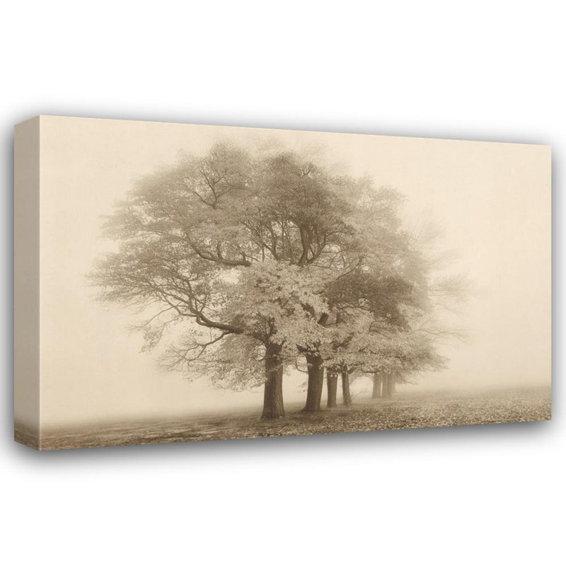 Harmonie dans le brouillard IMA-S778, H 16 po x l 24 po