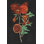 " Pomegranate Study I " by Melissa Wang Painting Print
