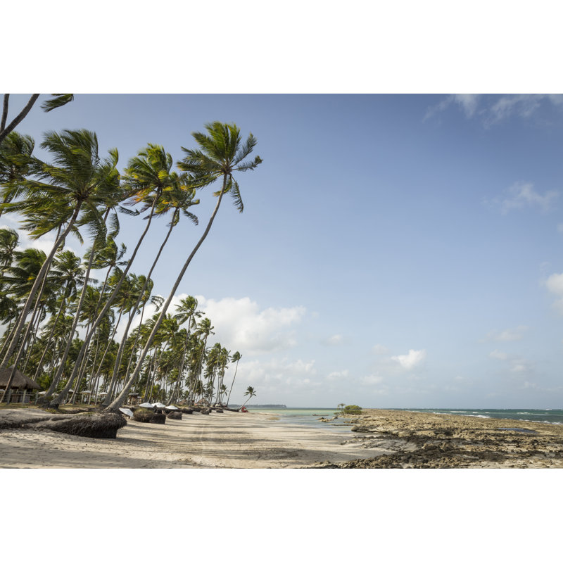 Palm Trees by AlbertoChagas - Wrapped Canvas Print, 30cm H x 46cm W