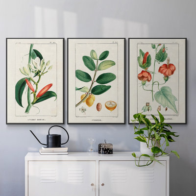 Turpin Tropical Botanicals IV, ensemble de 3 toiles encadrées