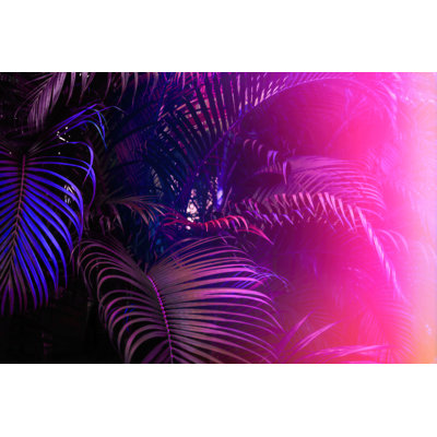 Feuilles de palmier mauve Tibisay