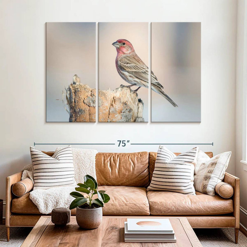House Finch Bird, 24" H x 38" W