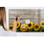 Magnetic Glass Dry Erase Board
