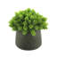 Faux Succulent in Fiberstone Pot-1601367876