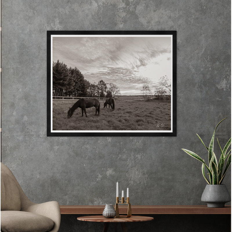 Grazing II Print by Tim Klein