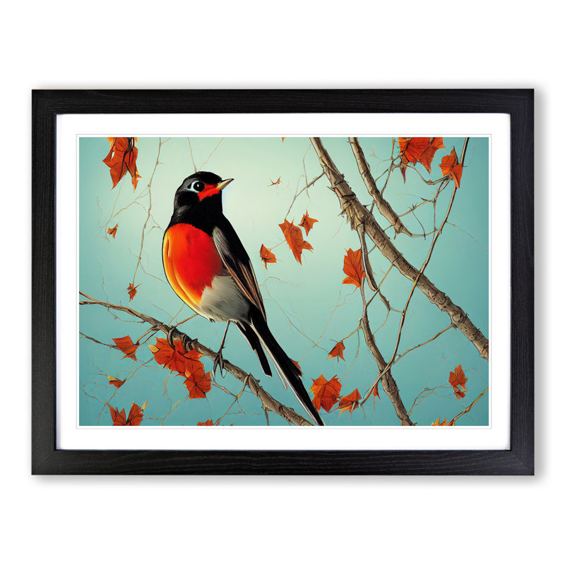 Eye Opening Robin Bird - Single Picture Frame Print, Black Framed, 46cm H x 64cm W x 2cm D