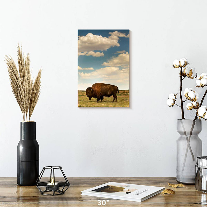 Bison des Rocheuses Brampt, H 12 po x l 8 po