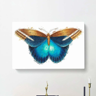 Idomeneus Butterfly by George Shaw - Wrapped Canvas