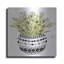 «Mud Fabric Succulent I» par Cindy Jacobs-673563758