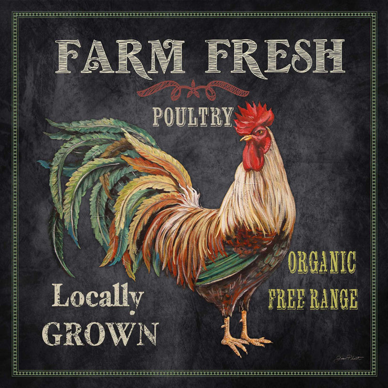 «Farm Fresh Rooster» par Jean Plout - impression sur toile tendue, 36" H x 36" lx 1.5" p