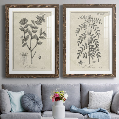 " Antique Black and White Botanical VIII " 2 Piece Art Color Photography Painting
