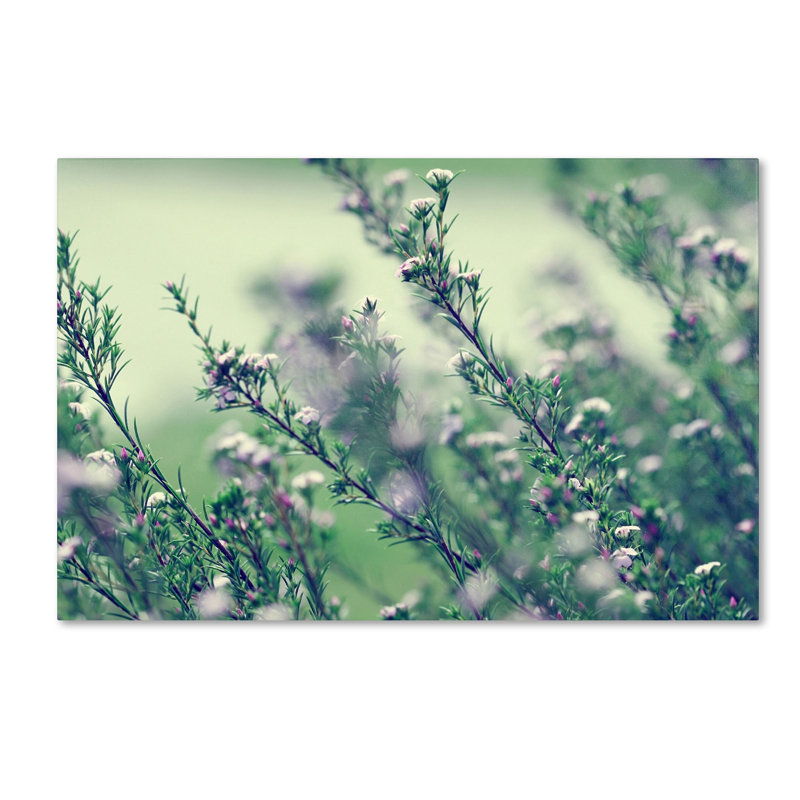 Memories of Summer Floral Landscape Canvas Art