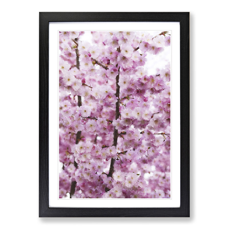 Pink Cherry Blossom Flowers Vol.2 - Picture Frame Graphic Art, 48cm H x 36cm W x 2cm D, Black Framed