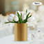 Vases dorés pour centres de mariage