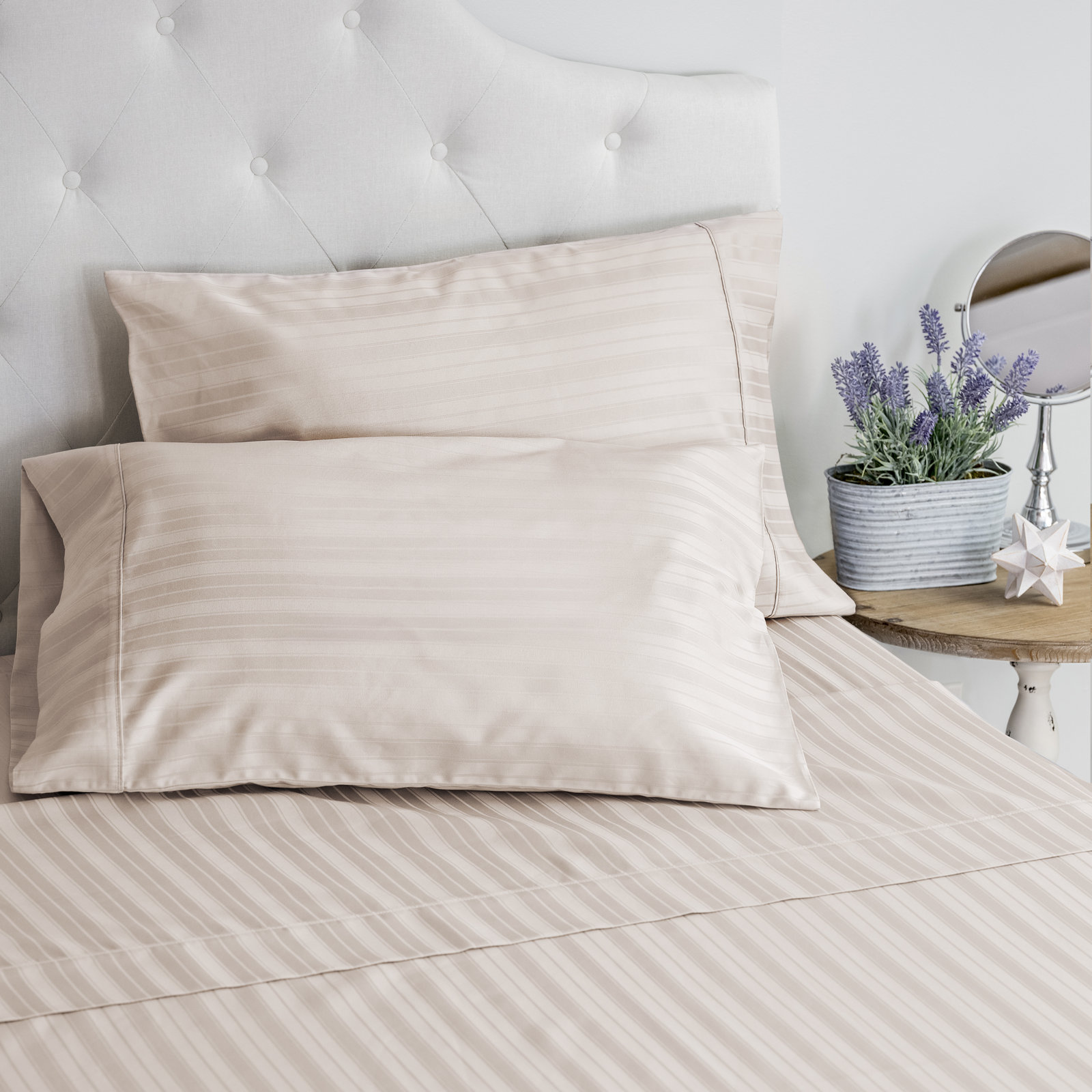 Zander Cotton Sheet Set, Blush, King
