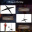 Steel, Polyester Halloween Decoration