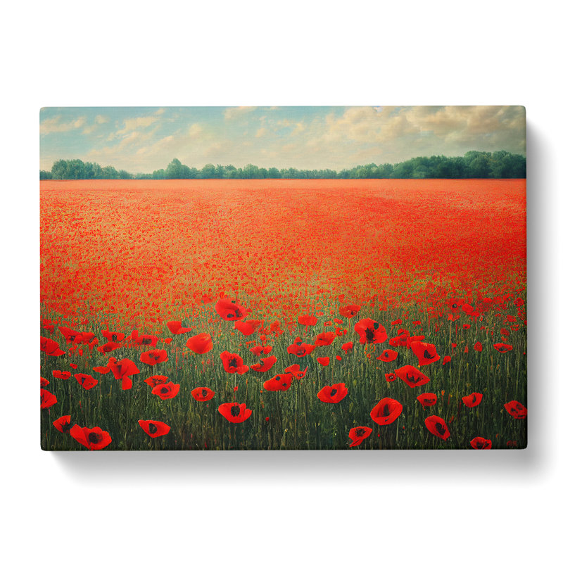 Striking Poppy Field Flowers - Wrapped Canvas