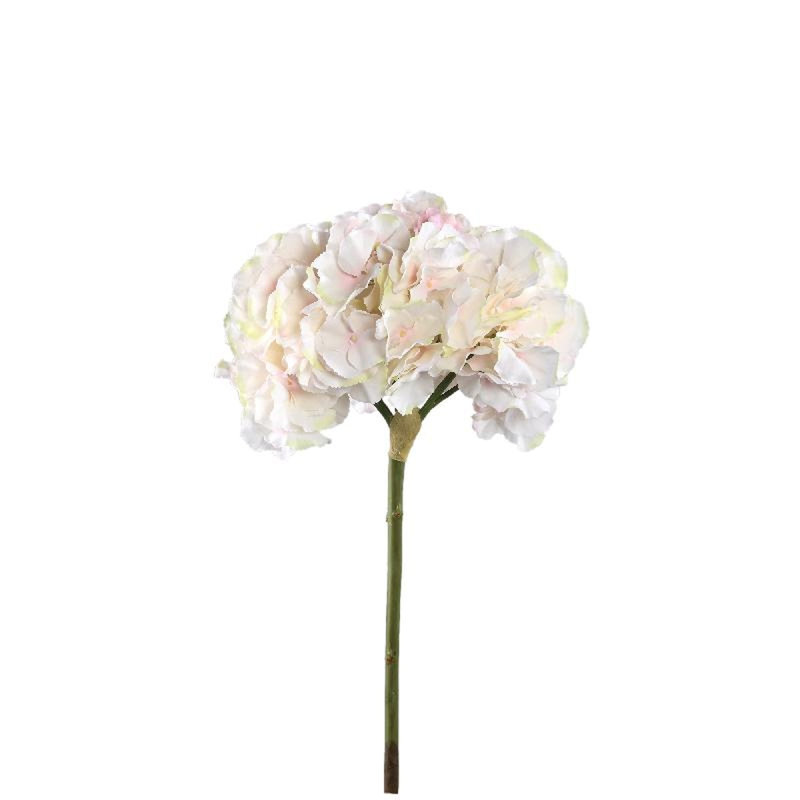 Hortensia 54cm Plant, Pink