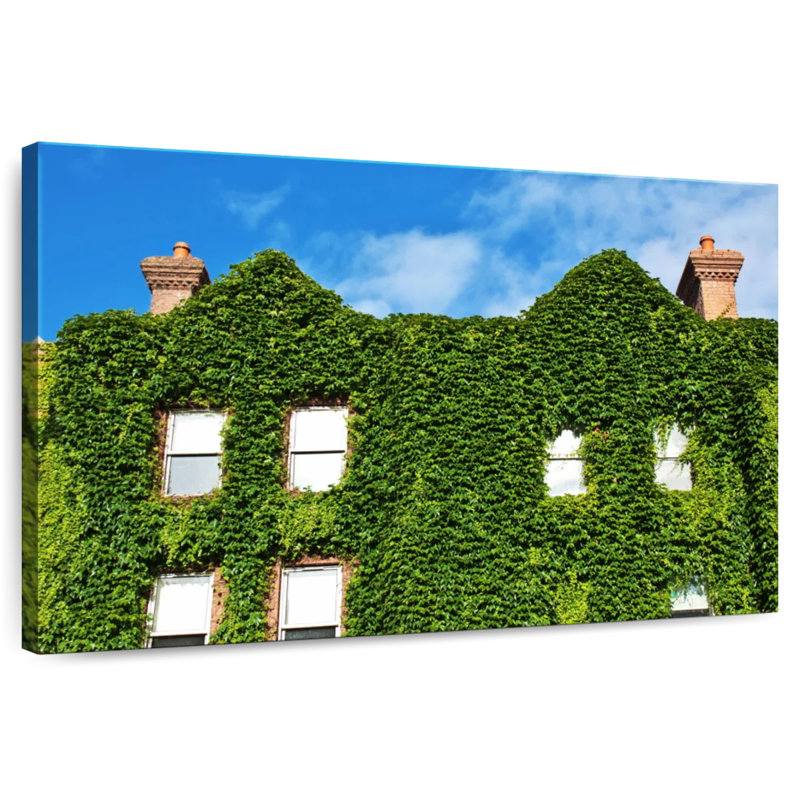 Plant Covered House, 24" H x 36" W