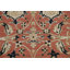 Tapis oriental Sultanabad Ziegler noué à la main 5 x 7