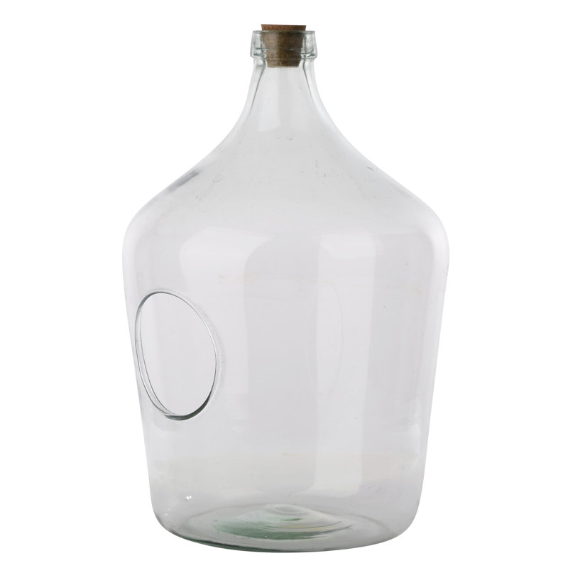 Dasheil Glass Terrarium, 39.4cm H x 25.2cm W x 25.2cm D