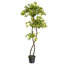 Arbre artificiel 6 pi avec lumières DEL et pot - 800 feuilles réalistes et tronc fabriqué à la main-118043458